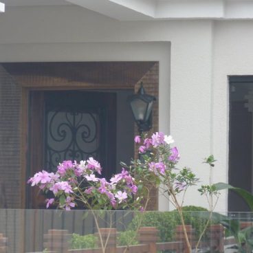 283254-246849402003097-5649196-n